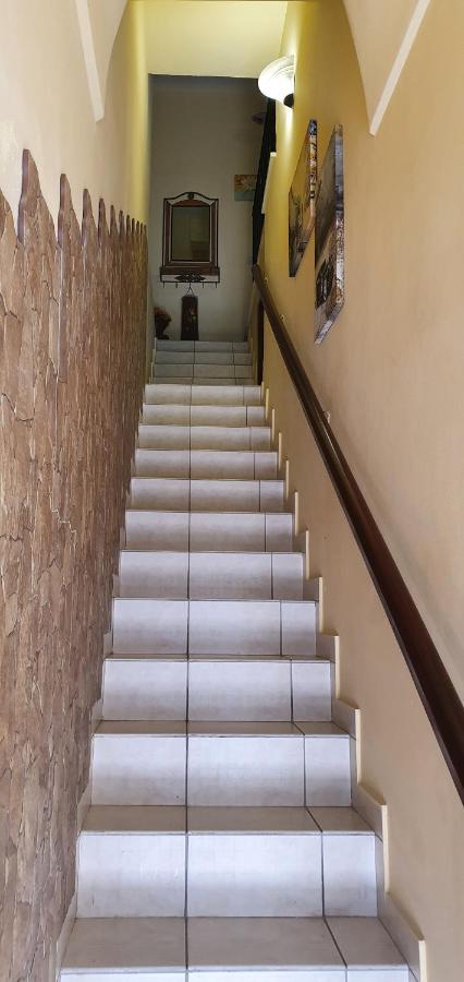 Delfino House Villa แตร์ราซีนี ภายนอก รูปภาพ