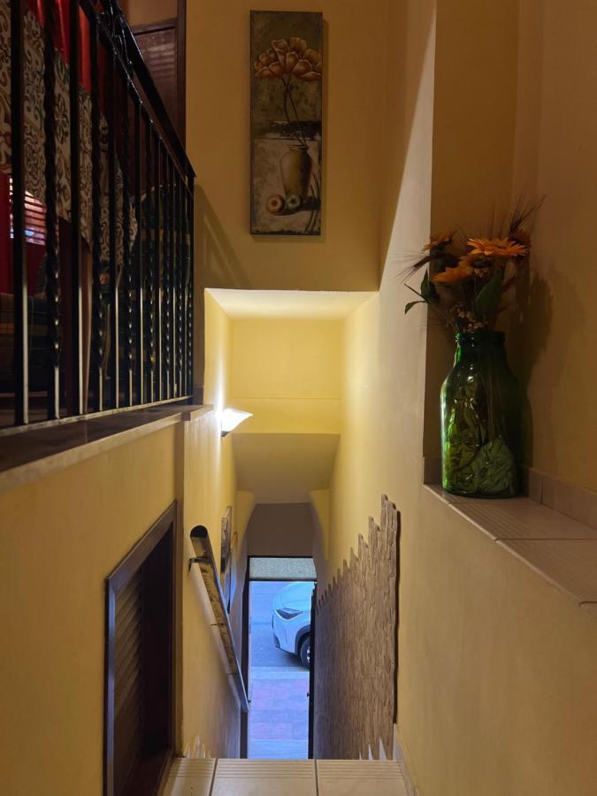 Delfino House Villa แตร์ราซีนี ภายนอก รูปภาพ