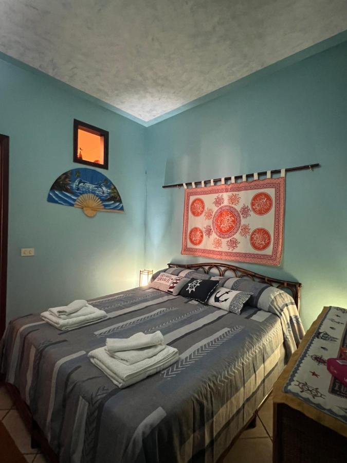 Delfino House Villa แตร์ราซีนี ภายนอก รูปภาพ
