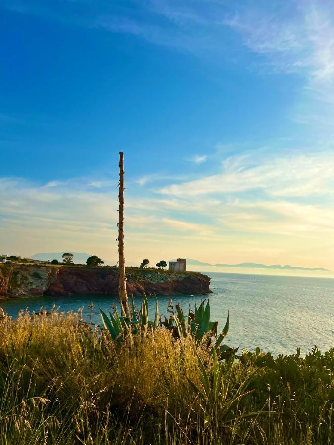Delfino House Villa แตร์ราซีนี ภายนอก รูปภาพ